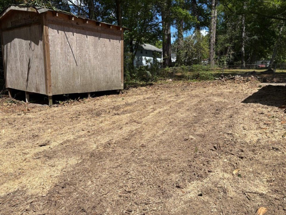 Lion Tree Service and Landscaping LLC project photo 21